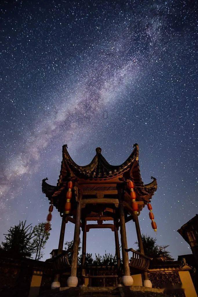 白莲花守则